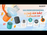 Loa không dây di động XB100 (BDOMS) 1