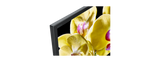 X80G | LED | 4K Ultra HD | HDR | Smart TV (TV Android) 5