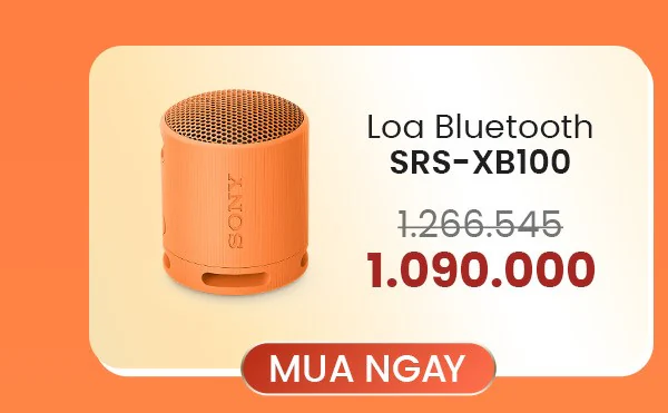 Ưu đãi Tết dành cho Loa di động XB100